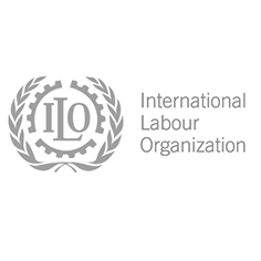 International Labour Organization, Fundamentals Branch
