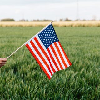 illustration of hand holding United States flag